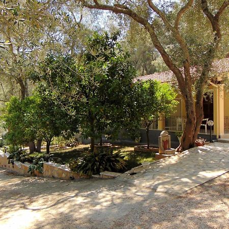 Villa Eleni - Studios เลียปาเดส ภายนอก รูปภาพ