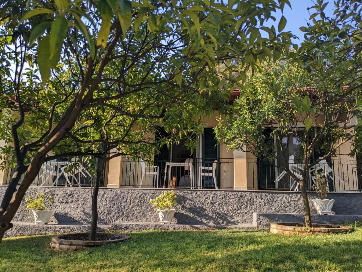 Villa Eleni - Studios เลียปาเดส ภายนอก รูปภาพ